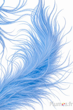 Struzzo ciocca - 10 cm - blu cielo